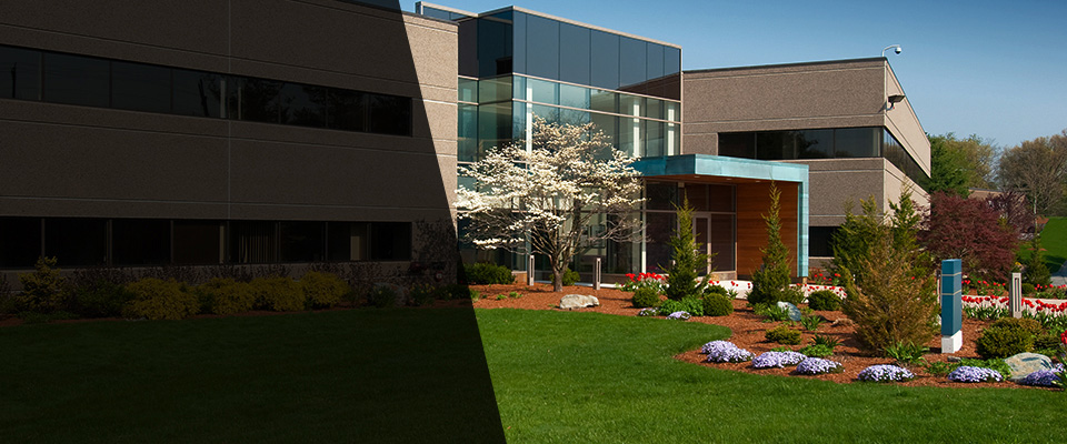 Green Mountain Falls Landscapers