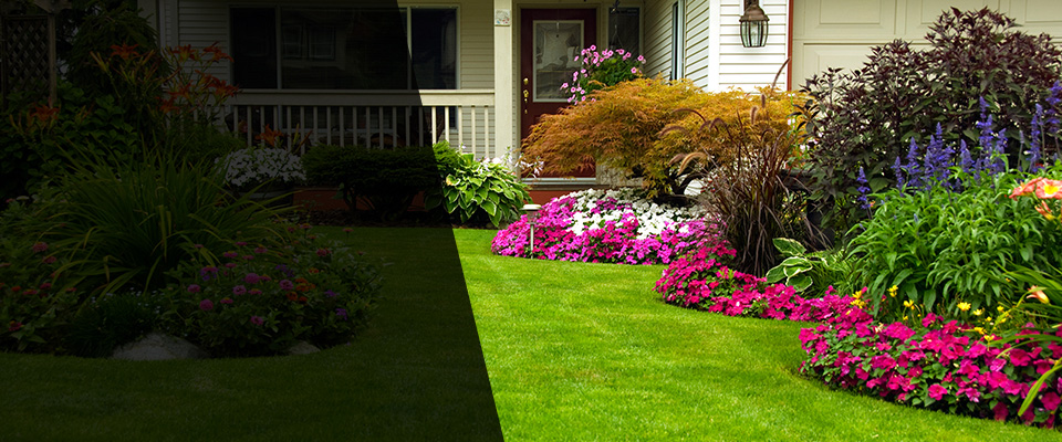 Green Mountain Falls Landscapers