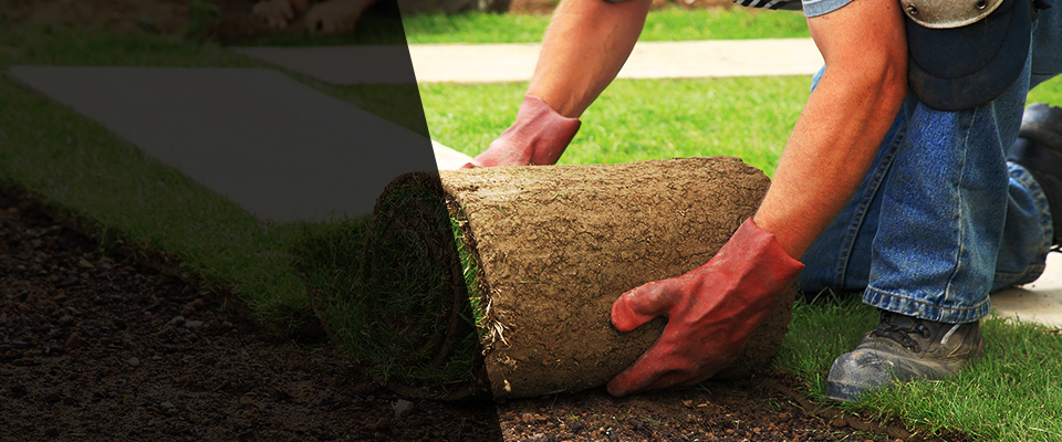 Green Mountain Falls Landscapers